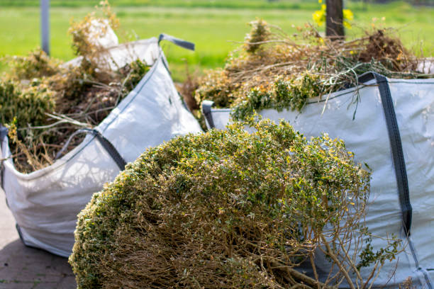 Best Junk Hauling Services  in Murphysboro, IL